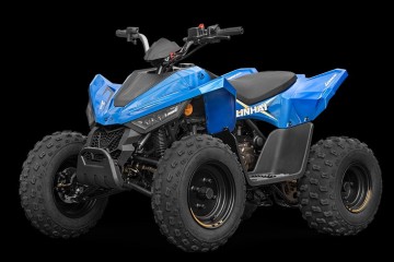 Quad Linhai 110 Junior