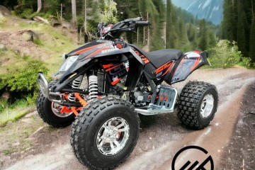 Quad EGL 250 Berreta