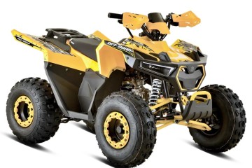 Barton 125 Terrax